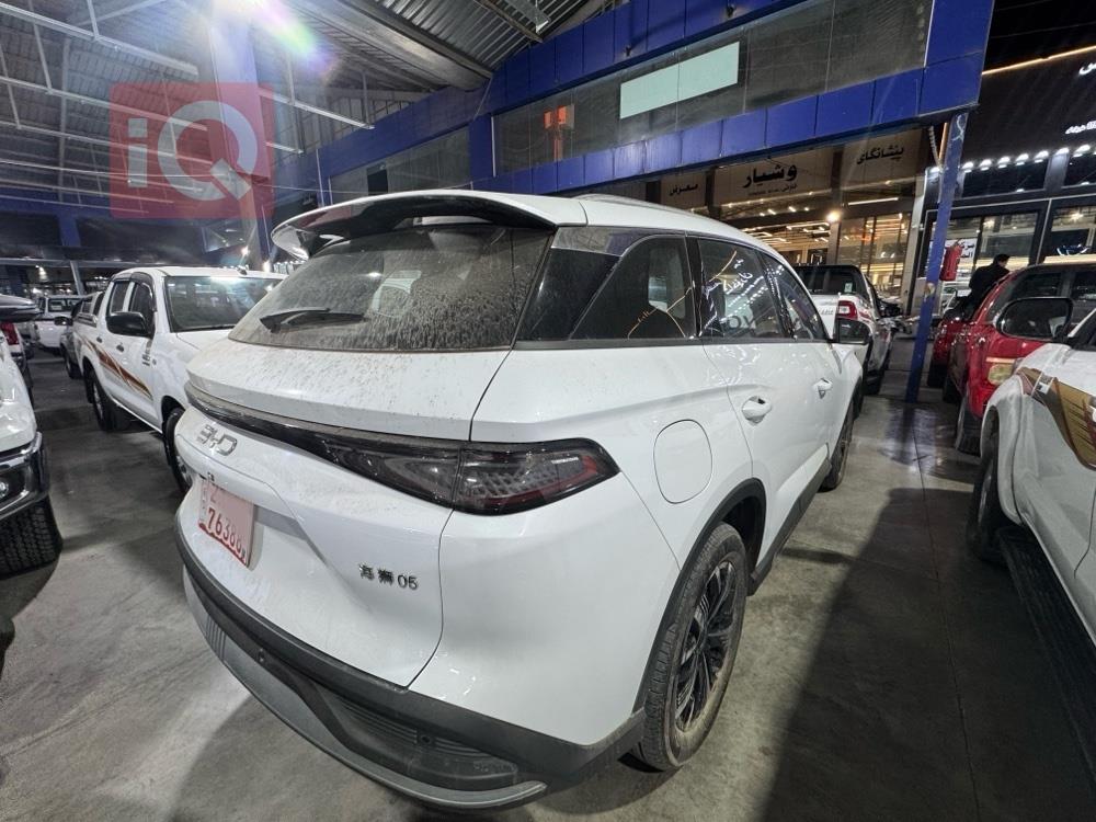 بي واي دي سيليون 05 DM-i